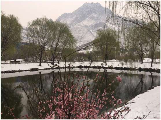 下花园最新资讯,自然美景的探索之旅,寻觅内心平和与喜悦的旅程