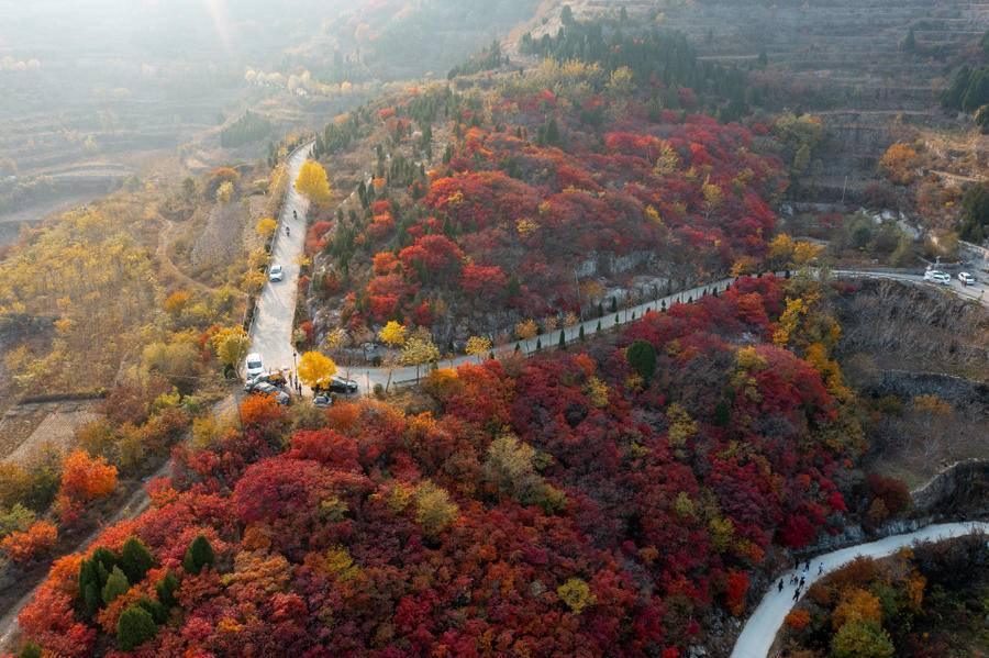 第三轮猴大版最新售价揭秘,小巷中的宝藏探索之旅
