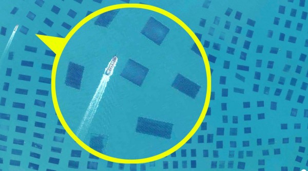 谷歌地球最新,数字地球的演变与深远影响