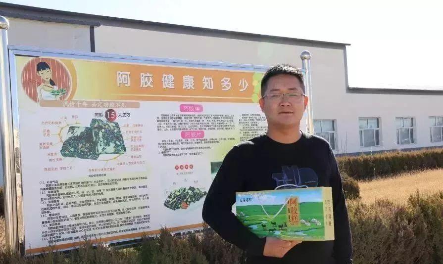 毛驴价格行情,科技引领驴产业变革,重塑体验新篇章