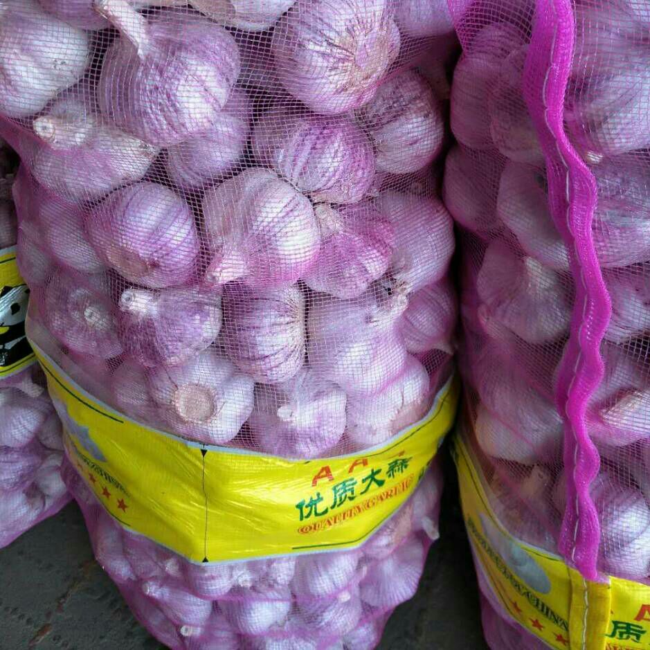 聊城大蒜行情最新动态,全面解析聊城大蒜市场指南