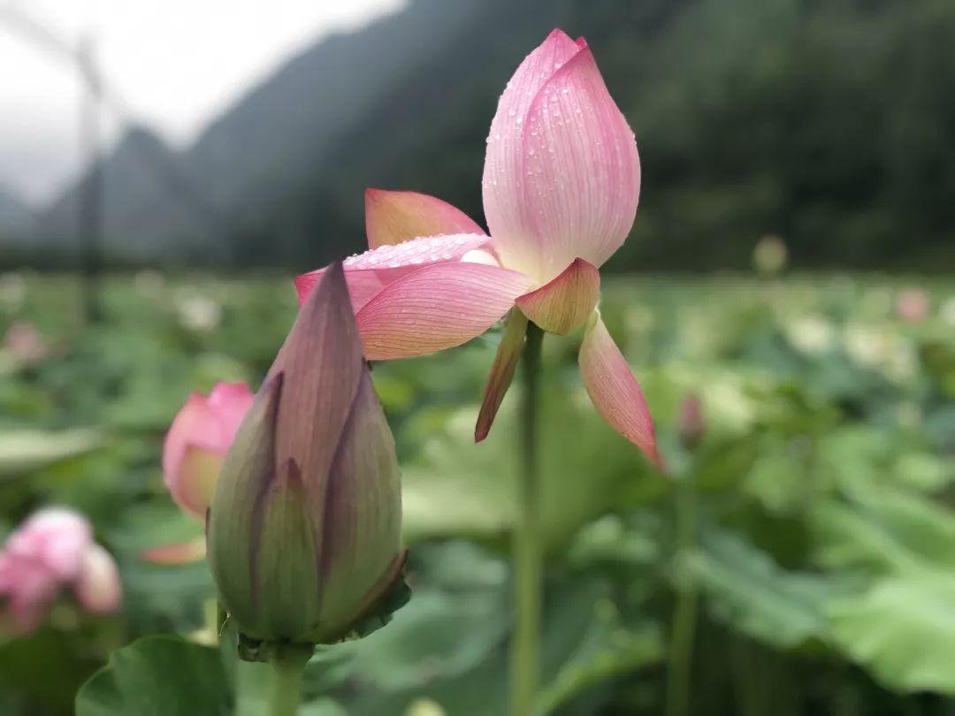 最新火箭发射资讯，太空旅行的邀请，探寻内心宁静与美景的旅程