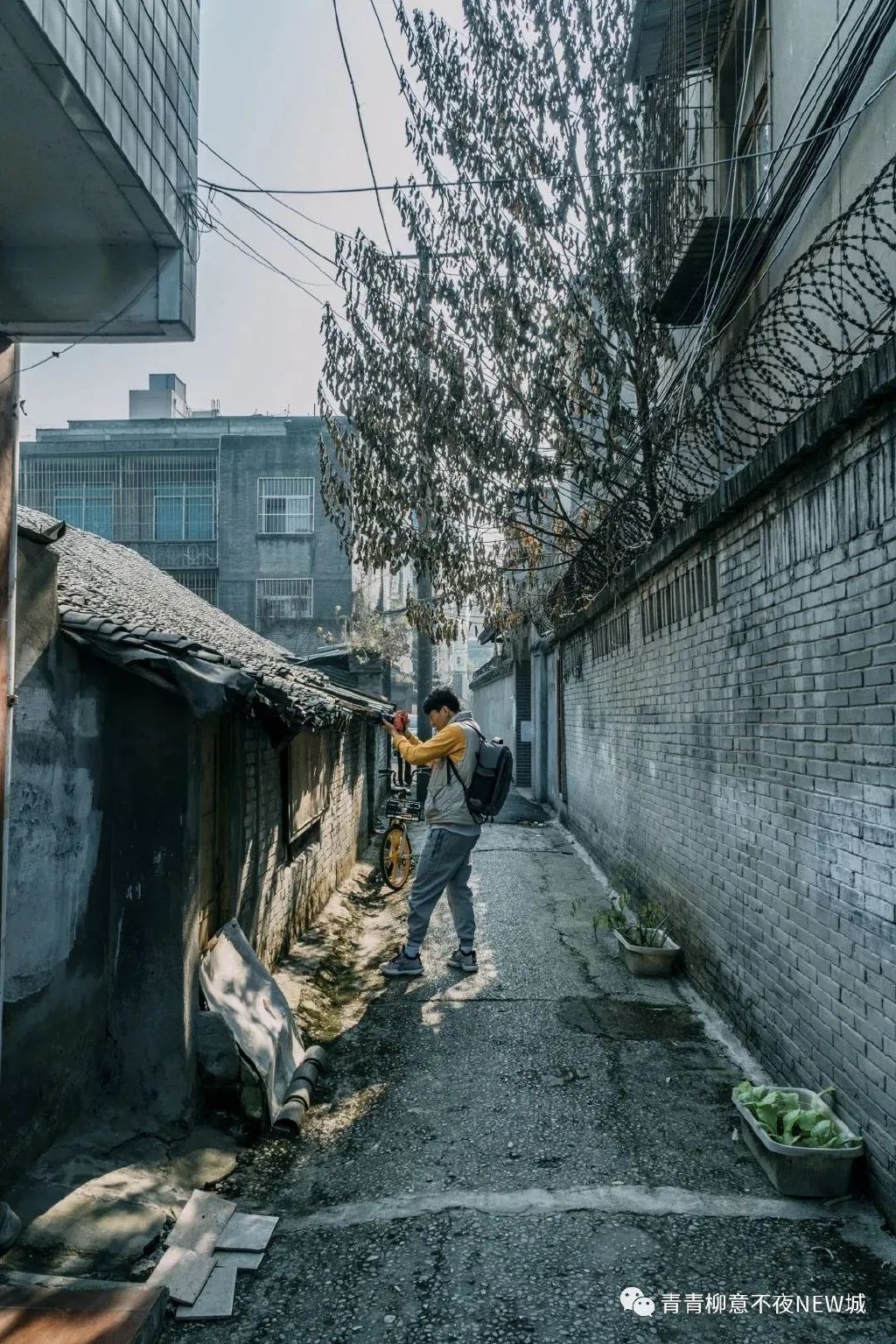 征地最新动态与小巷深处的独特风味探秘