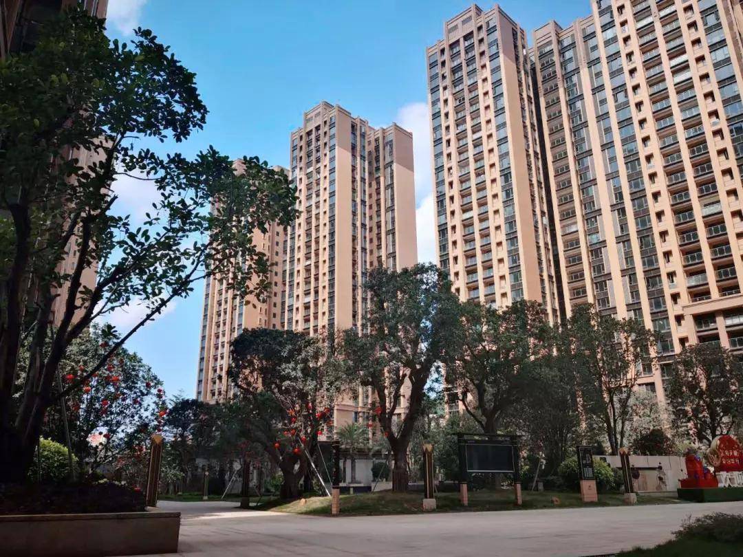 深度解析，601668股票行情与市场地位分析