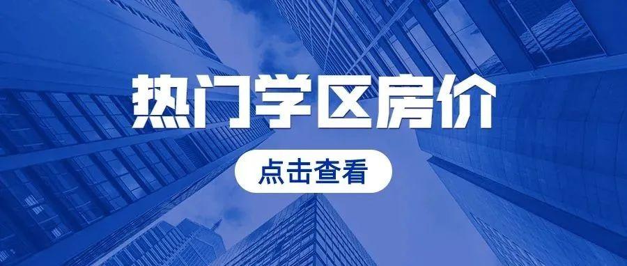 300168最新资讯,300168最新资讯，学习变化，自信与成就感的旅程