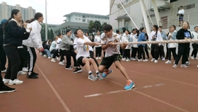 拔河比赛技巧详解，实用指南与策略