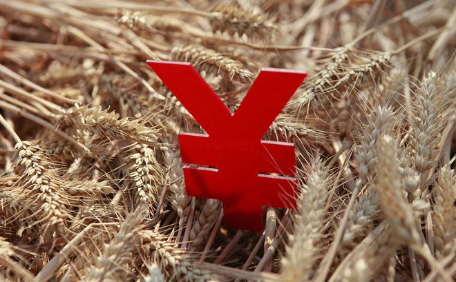 玉米补贴动态更新，变化中的机遇，激发自信与成就感