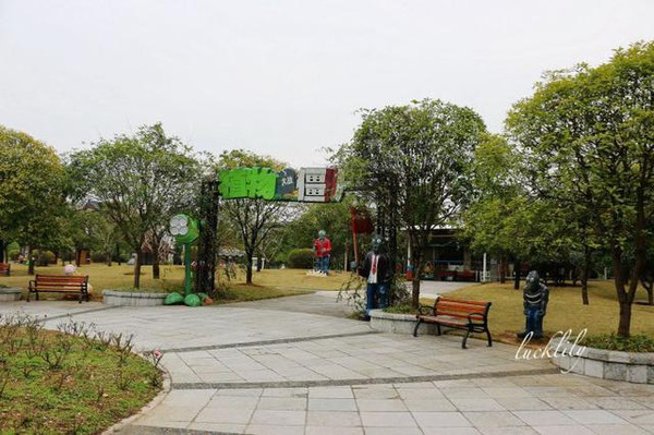 南沙最新动态，巷弄深处的独特小店探秘之旅