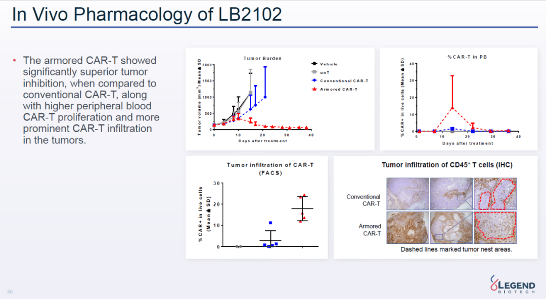 异体手移植研究最新进展动态分析