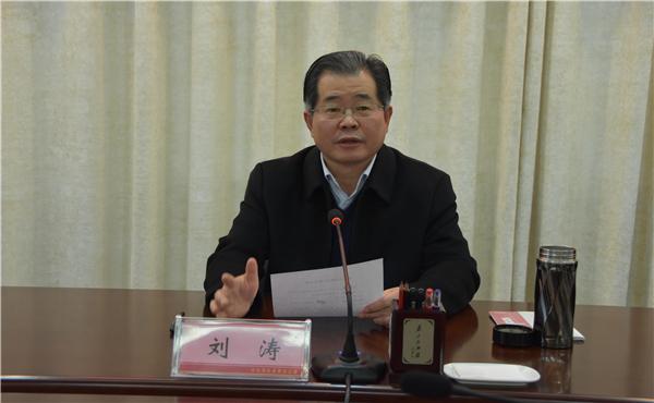 刘涛带你领略科技魅力,最新高科技产品体验之旅