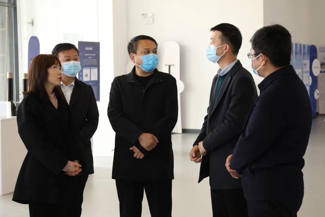 刘涛带你领略科技魅力,最新高科技产品体验之旅