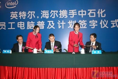 中石化最新招聘信息揭秘,小巷中的独特机遇与小店惊喜之旅