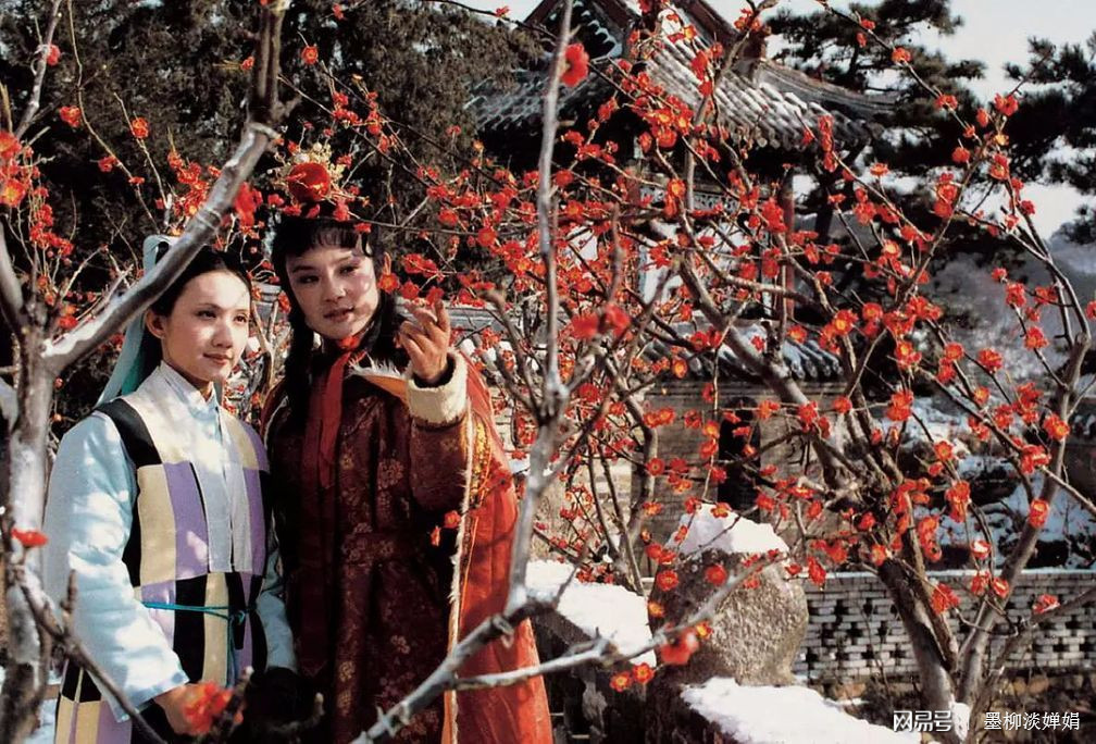 红楼梦最新探索,与自然美景的邂逅与内心的平和之旅