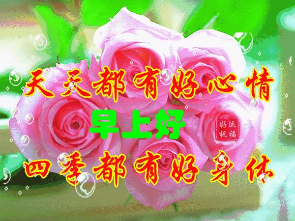 安康新闻网最新消息新闻,探寻内心平静的旅程,拥抱自然之美