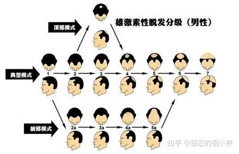 最新生发技术揭秘,小巷中的秘密生发宝藏