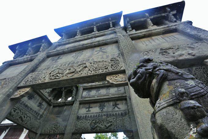 花与蛇,自然之美与神秘魅力的交融展现新篇章