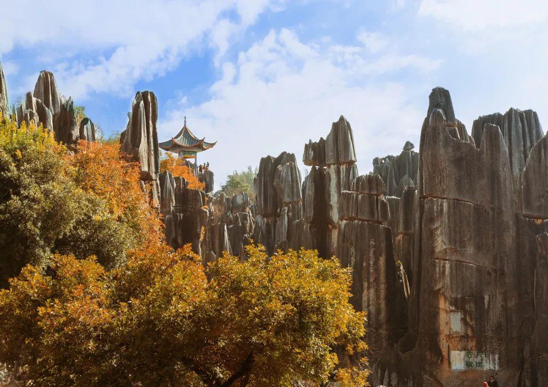 石林招聘网最新招聘,时代脉搏与人才交响会