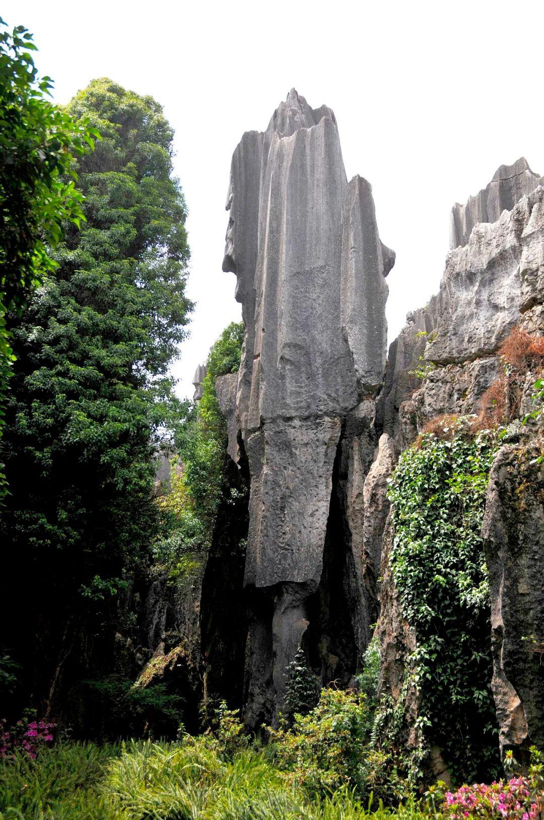 石林招聘网最新招聘,时代脉搏与人才交响会