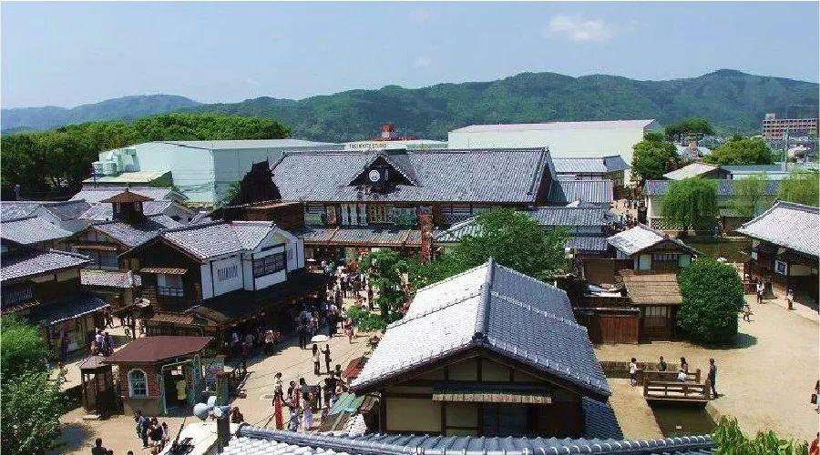 探索日本农业科技的最新篇章,种子日本最新动态报道