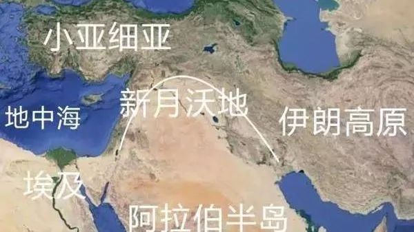 叙利亚最新局势图,温情故事背后的地图揭示最新局势