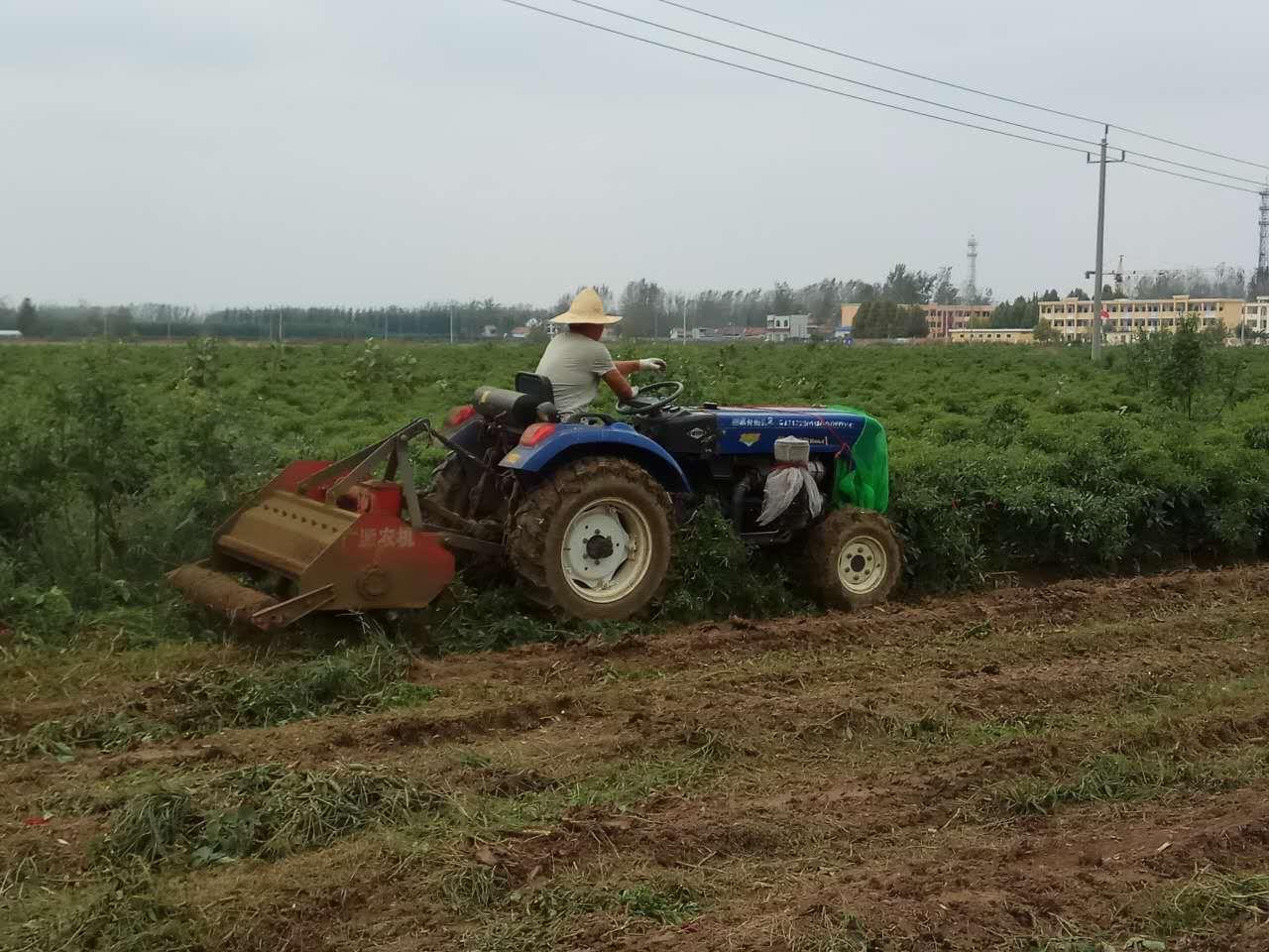 辣椒网最新价格查询指南,全面了解辣椒网最新价格信息