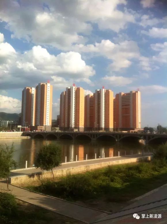 凌源最新新闻,城市中的温馨日常故事