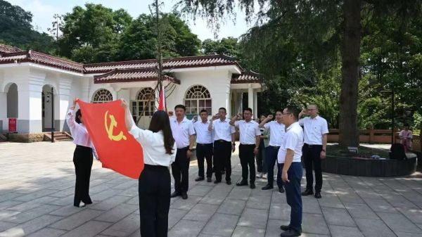 党的最新动态,心灵与自然的浪漫交汇之旅