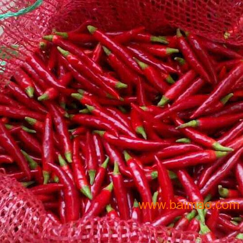 鲜辣椒价格行情揭秘,时代变迁与市场动态