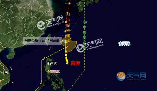 第5号台风实时更新，最新动态与消息汇总