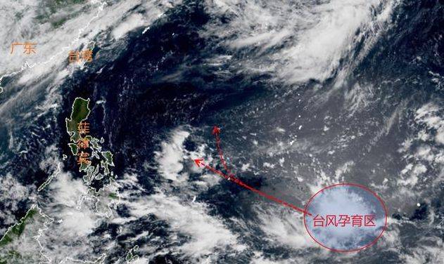 第5号台风实时更新,最新动态与消息汇总