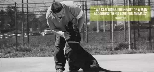 心灵之旅，超越死刑的探讨