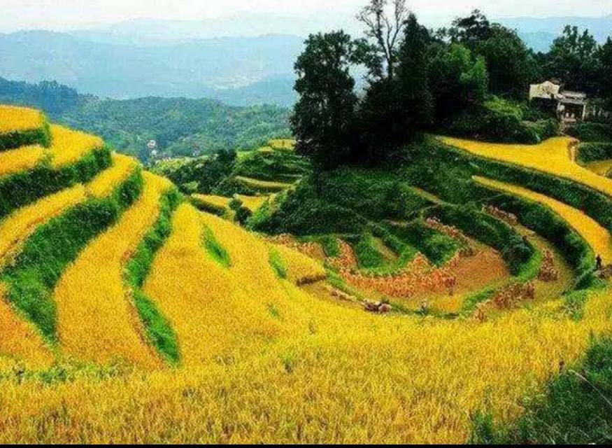 视觉盛宴震撼来袭,最新视频广告重磅推荐!