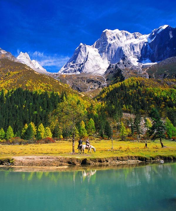 最新企业注册,自然美景中的探索之旅