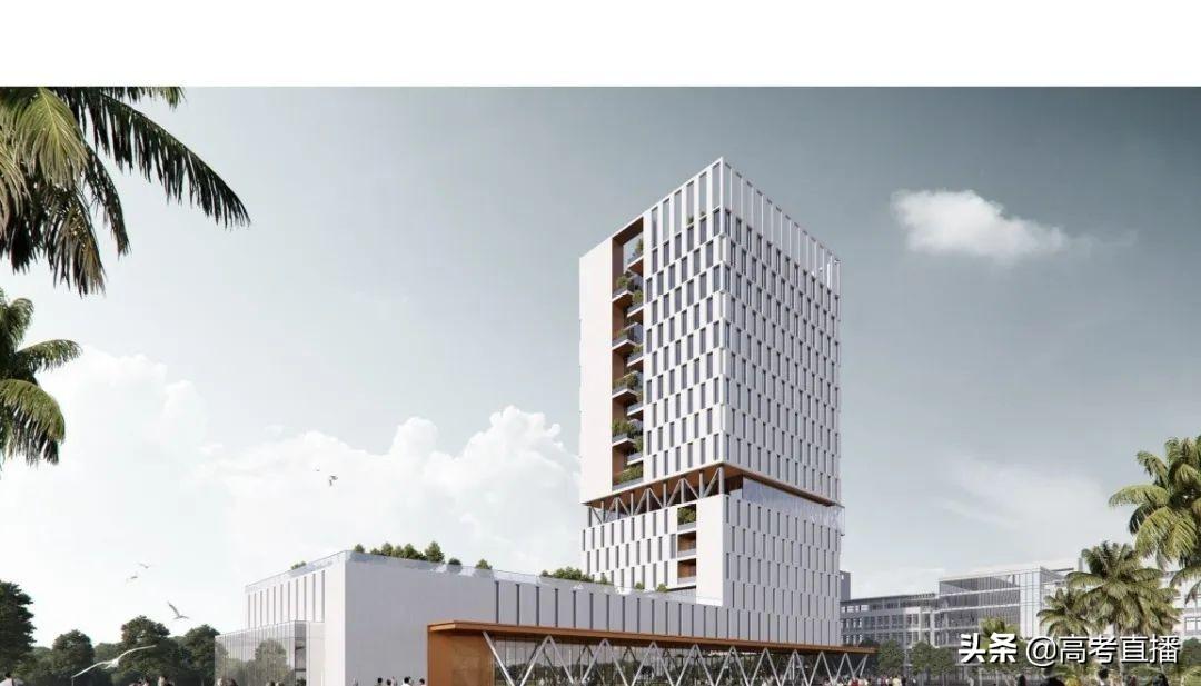 阳江最新招聘信息揭秘,职场发展与温馨日常故事同步更新