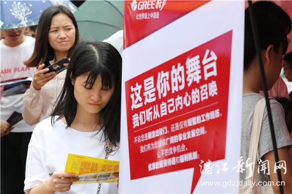 阳江最新招聘信息揭秘,职场发展与温馨日常故事同步更新