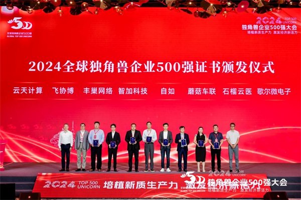 中化杜国盛新任任命揭晓，开启企业发展新篇章