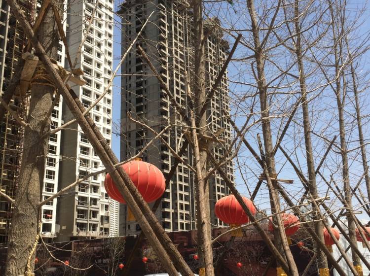 石家庄天洲视界城最新动态与小巷深处的独特风情揭秘