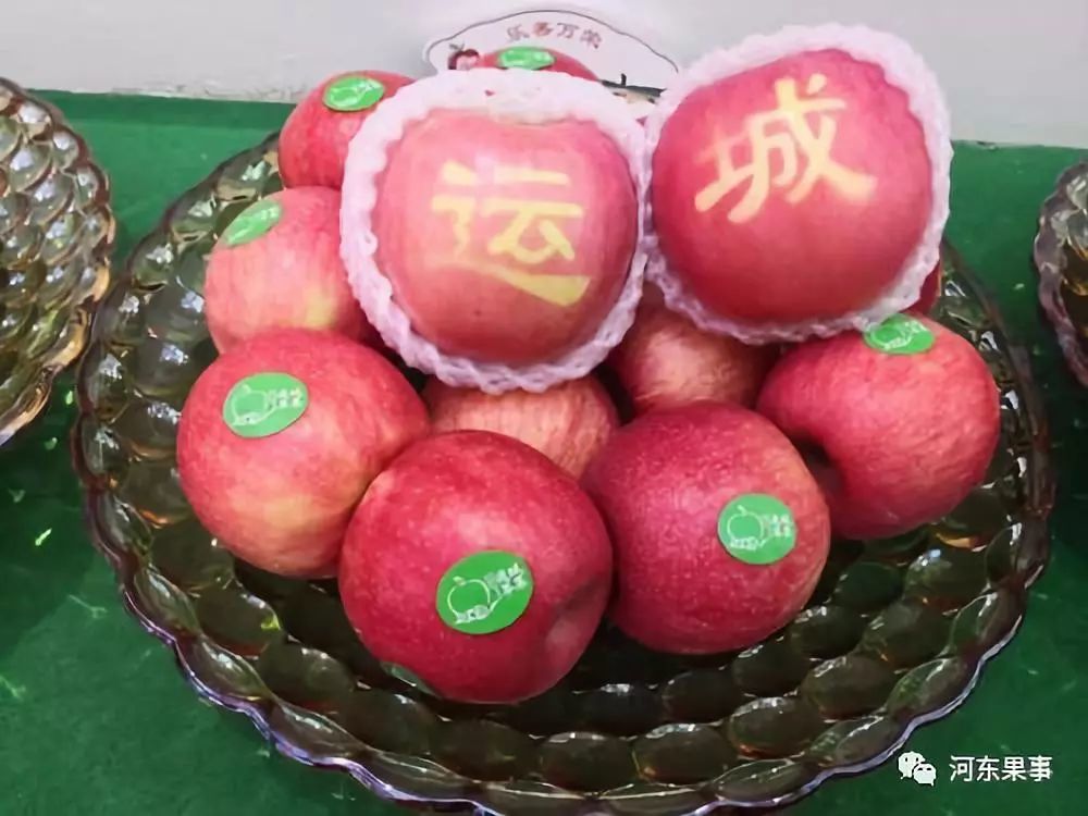 临汾佳合苹果最新动态，心灵与苹果的奇妙之旅