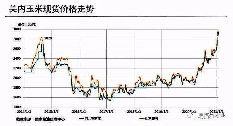 鹤壁玉米价格最新动态，机遇与挑战并存的自我超越旅程