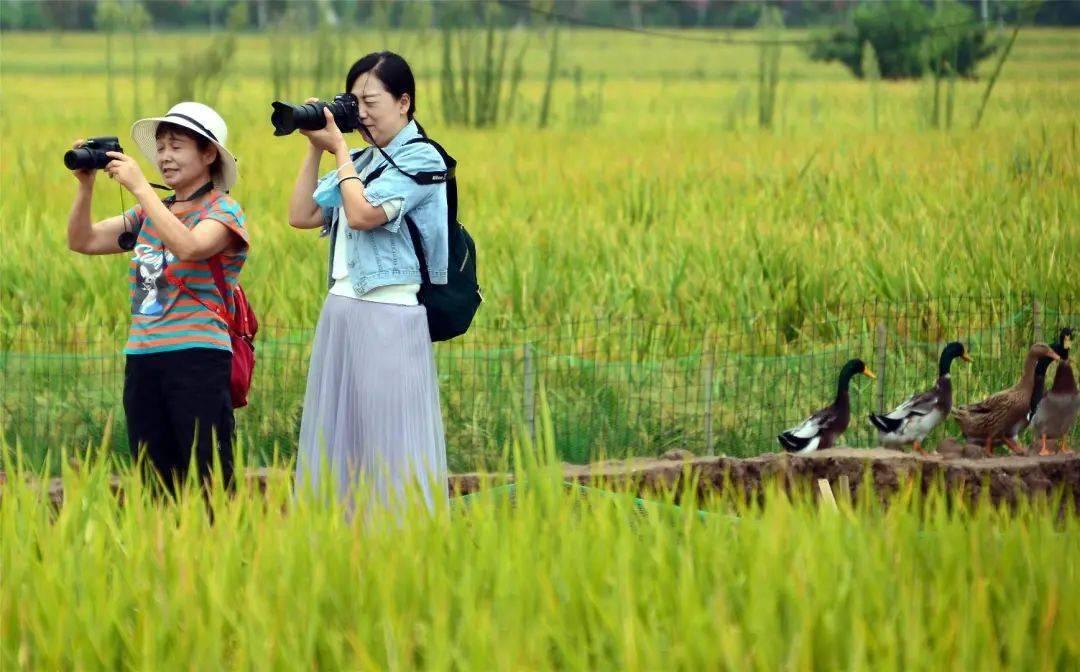 安的快递最新动态与探索自然美景的治愈之旅