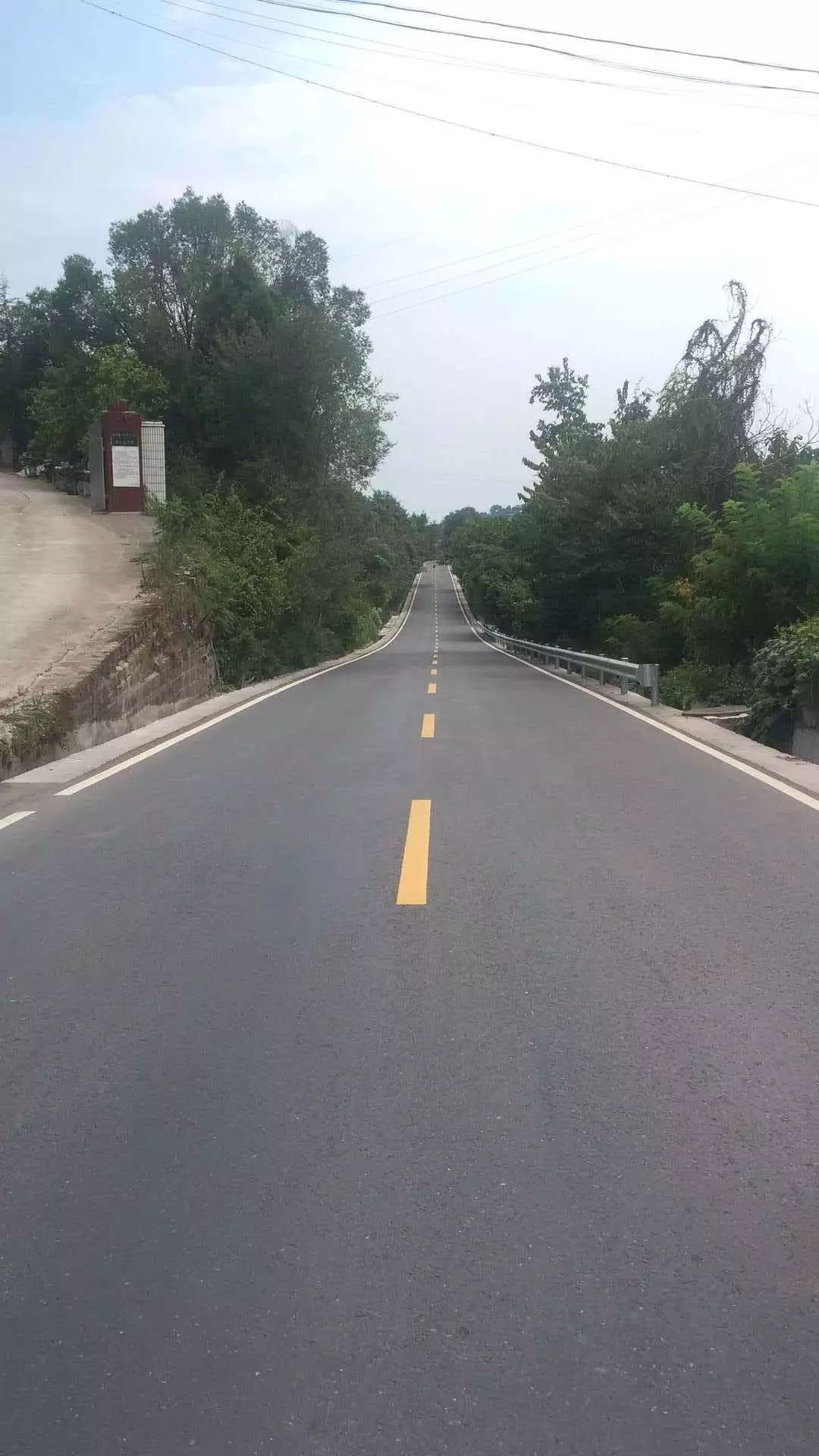 资中资安路最新动态及关注资讯步骤指南