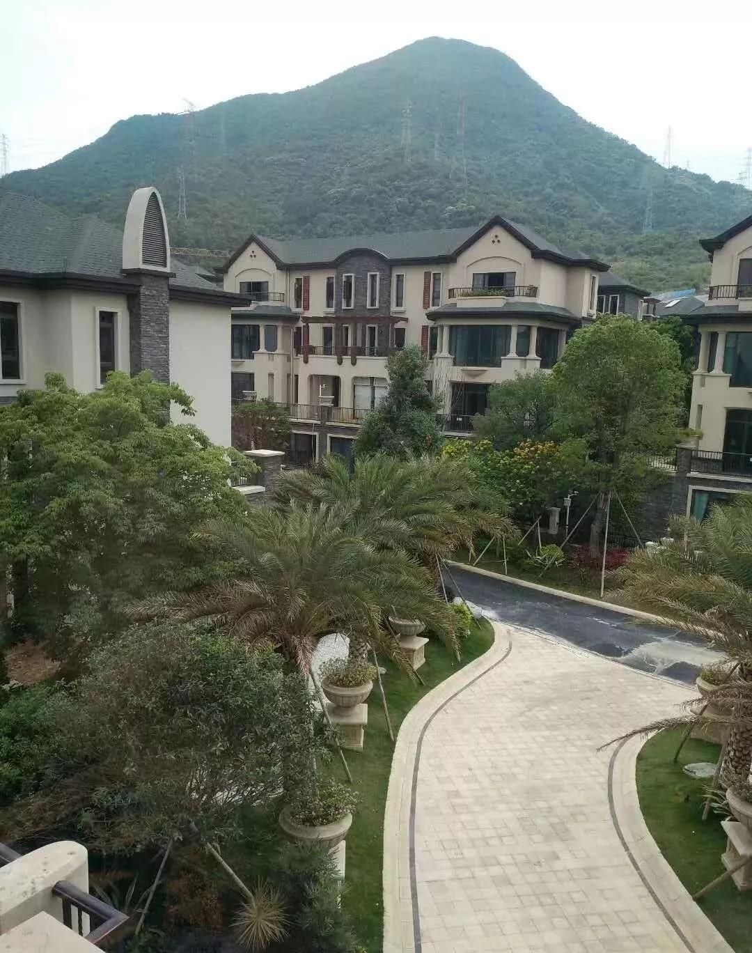 日落最新详细步骤指南大全