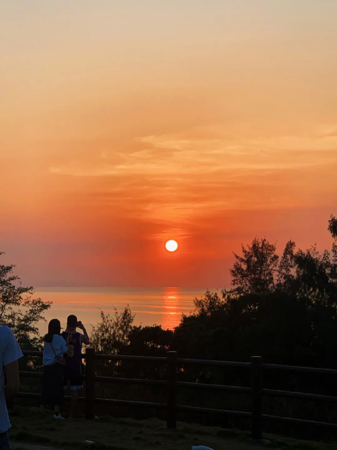 日落最新详细步骤指南大全