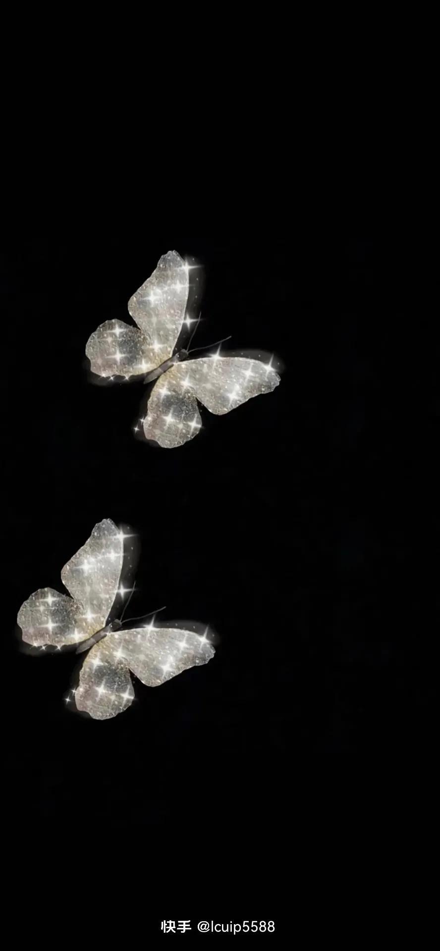 蝴蝶最新,时尚潮流与文化象征的深入探讨