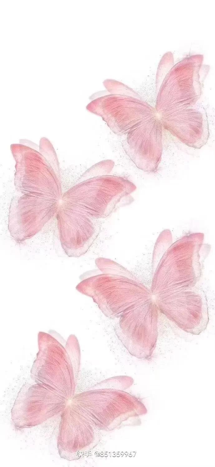 蝴蝶最新,时尚潮流与文化象征的深入探讨