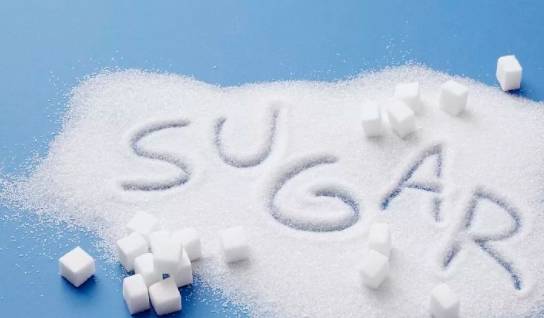 卡路里最新,理解能量计量,助力健康生活