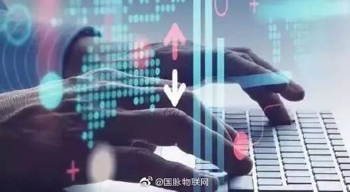 国脉最新进展,科技多维视角下的未来发展展望