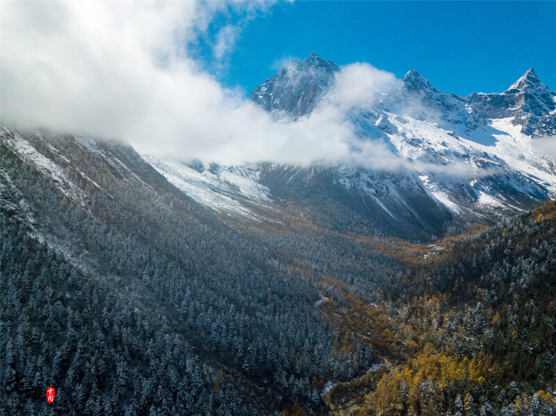 理县最新探索,自然美景的轻松之旅