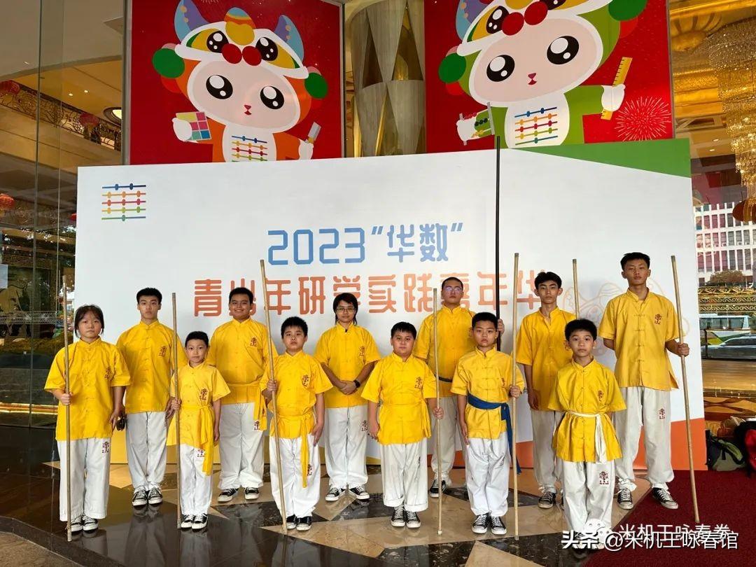 咏春最新,学习与实践的详细步骤指南