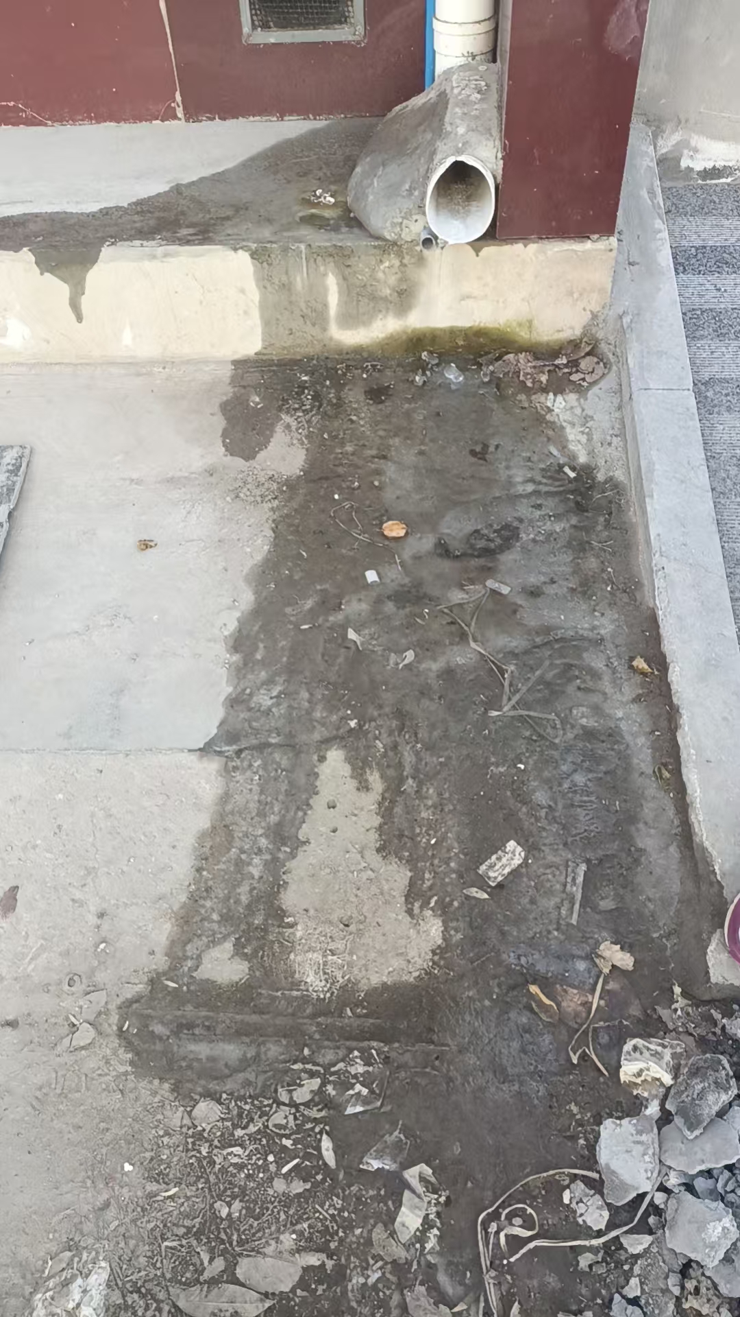 最新碎石探索,小巷深处的特色小店探秘